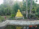 Buddha Pond